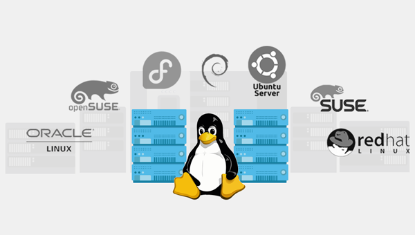Linux System